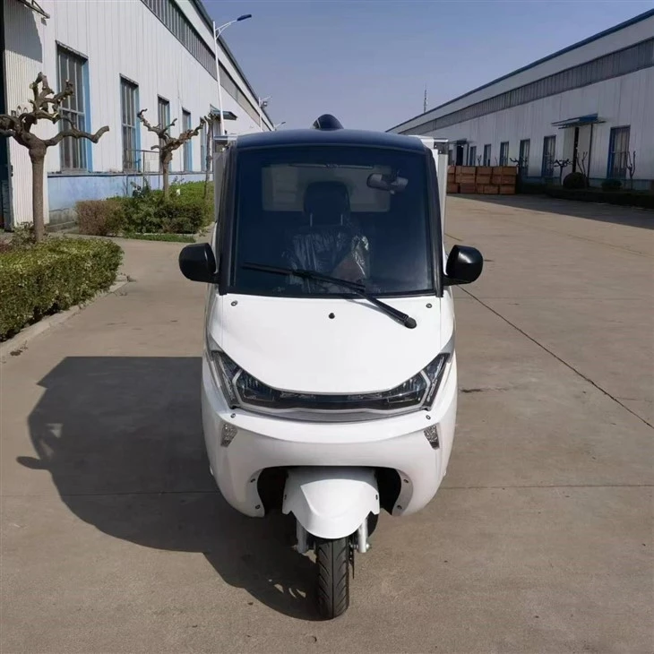 China Electric Cargo Van Both Cooling And Heating System Manufacturers