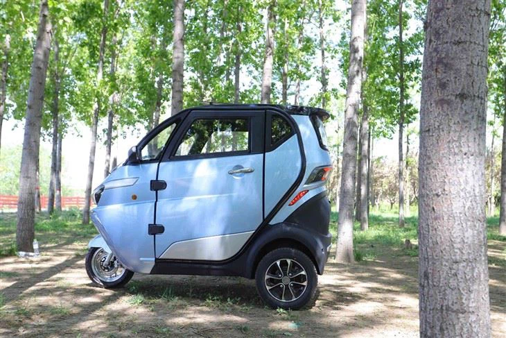 Low Speed Electric Tricycle EEC COC DOT