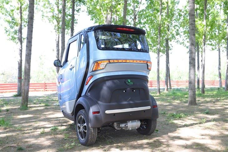 Low Speed Electric Tricycle EEC COC DOT