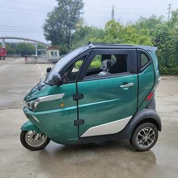 Electric Vehicle Three Wheels Adults Car Electric Vehicle Three Wheels Adults Car